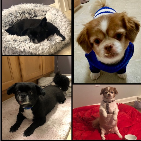 Meet your Posher, Melissa - Picture 1 of 6